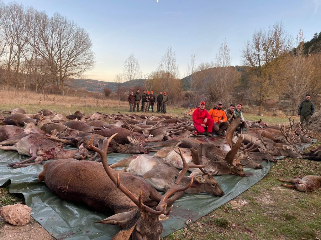 Montería en Pinilla