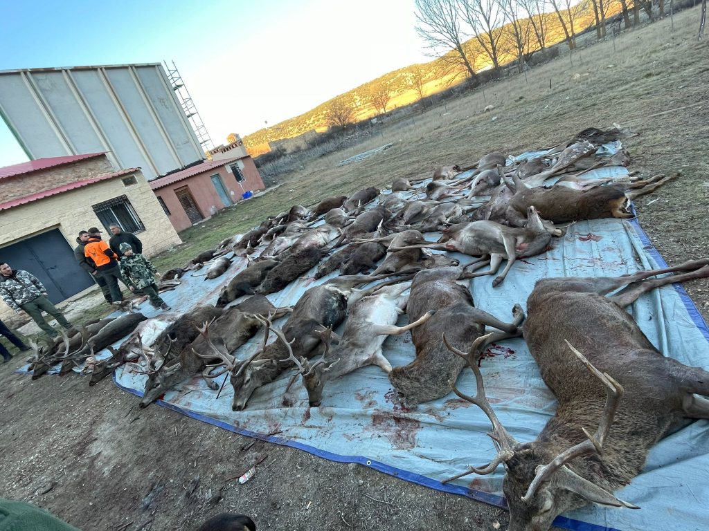 Montería en Pinilla