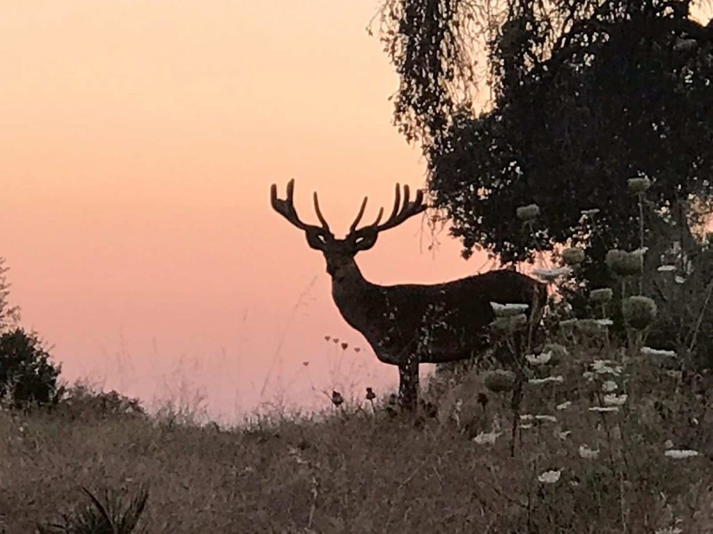 Montería en La Loma del Caballero.