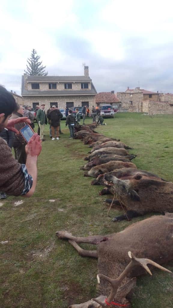 Montería en Los Barrancos