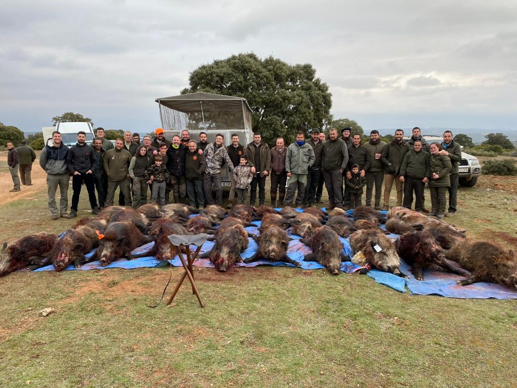 Montería en el gavilán