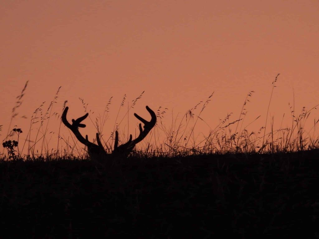 Montería en Loma de los becerros