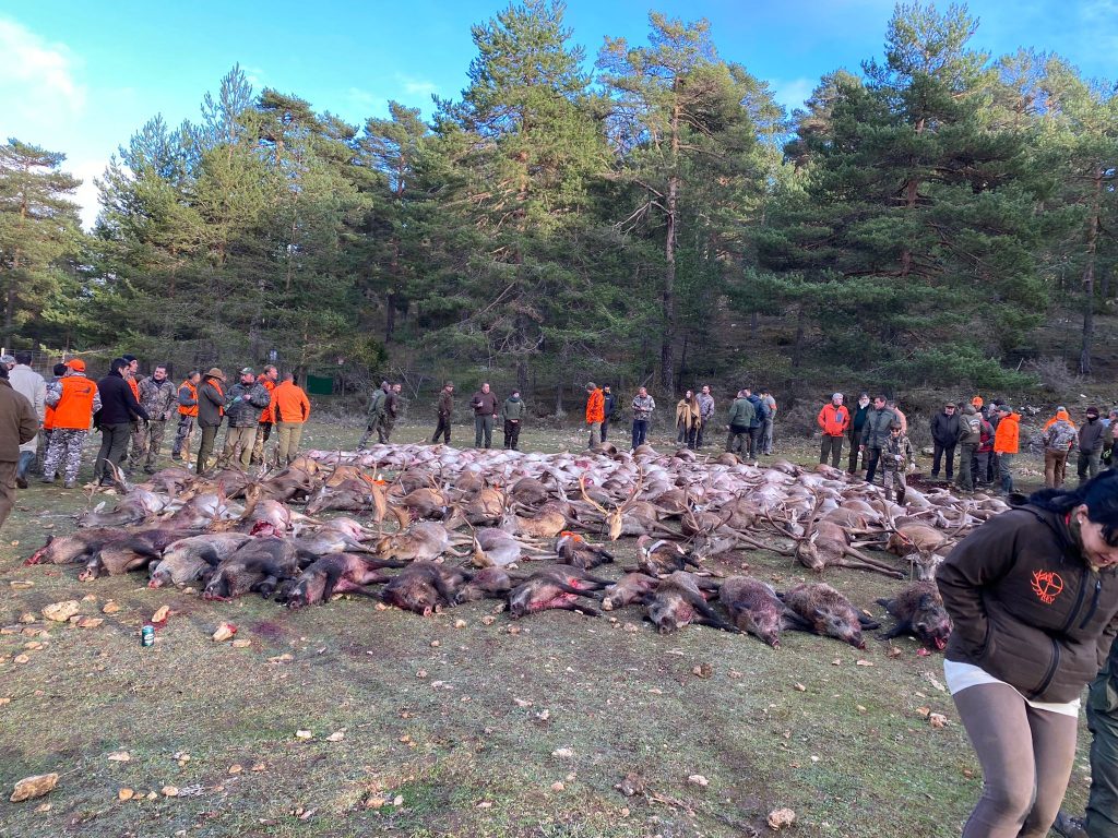 Montería en Valsalobre
