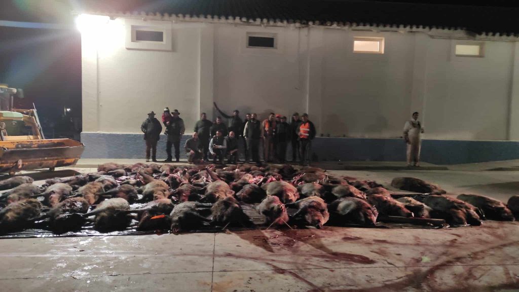 Montería en La Poveda