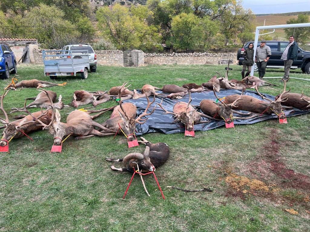 Montería en Terzaga