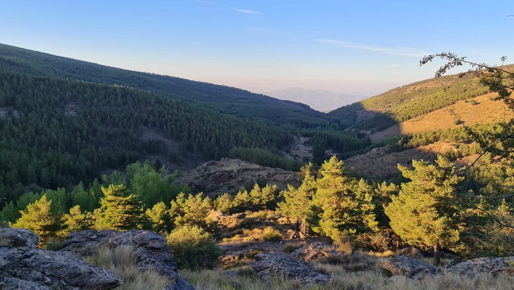 Montería en Joraique-S.Filabres