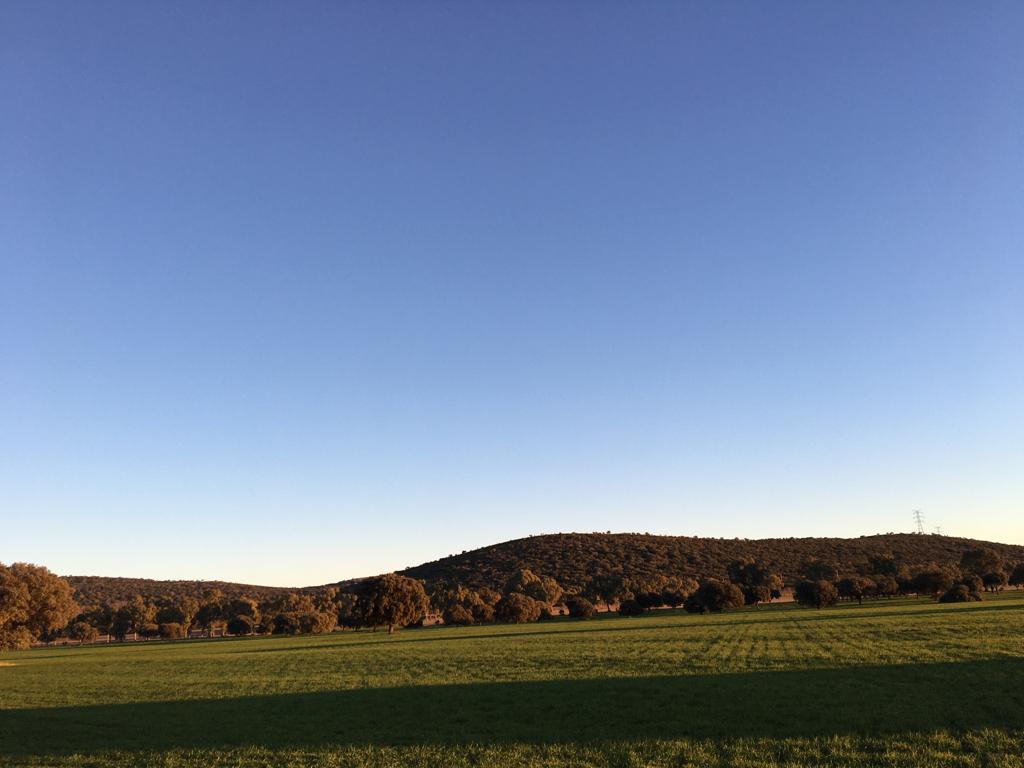 Montería en El Rondal