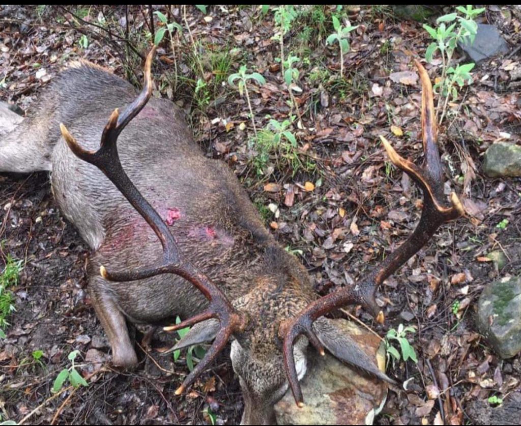Montería en Barranco Oscuro