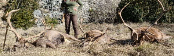 Montería en Piqueras