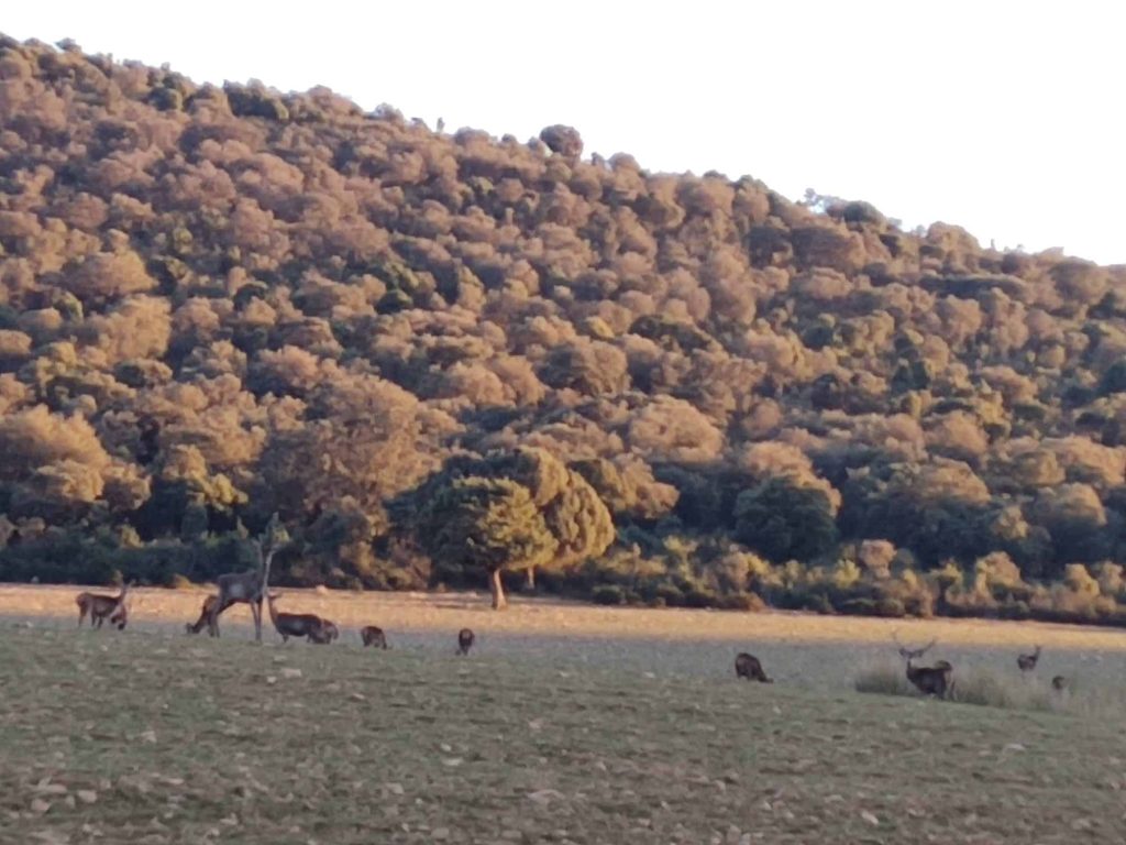 Montería en Los Baños del Relumbrar