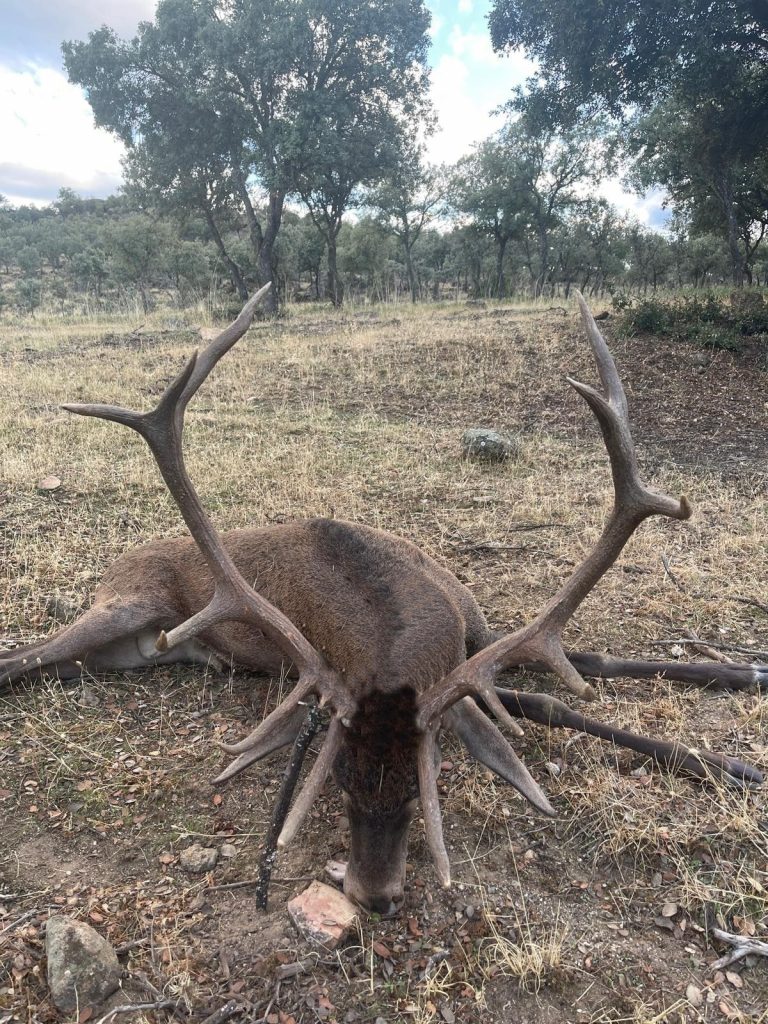 Montería en el Puntal