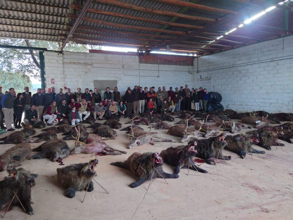 Montería en La Palomera