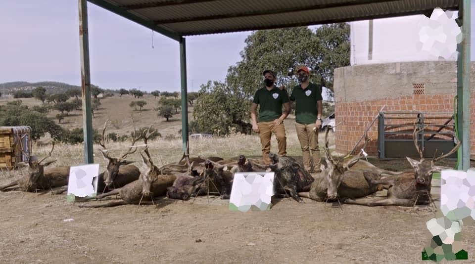 Montería en Candalija