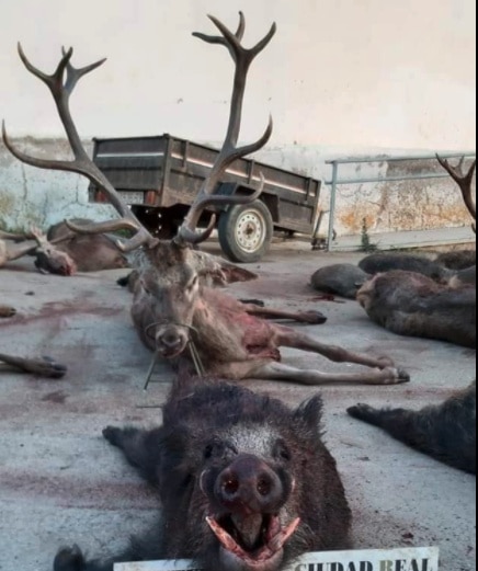Montería en Las Cabezuelas