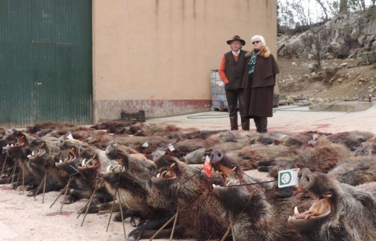 Montería en Nava el Sach III