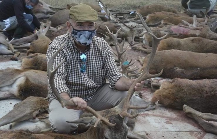 Montería en Aliserillas