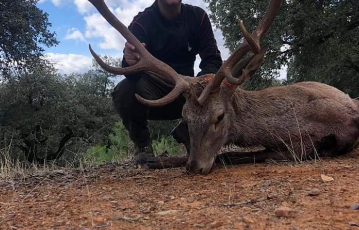 Montería en La Romana