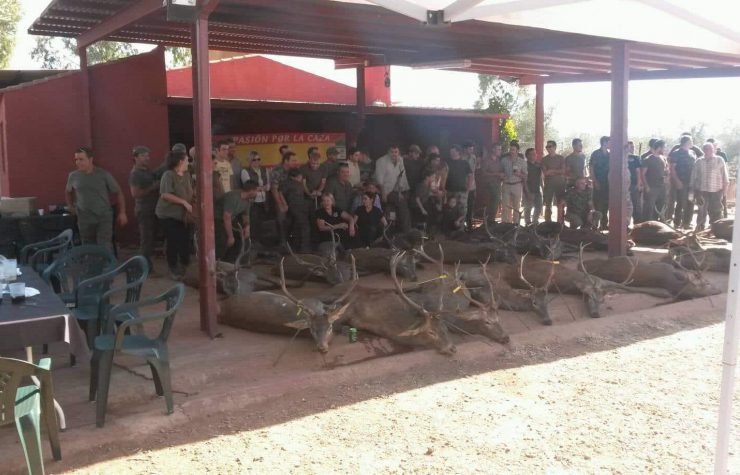 Montería en El Pantano