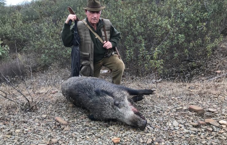 Montería en Los Pinares