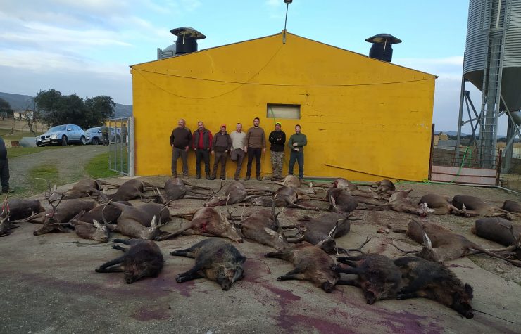 Montería en la Caldelera