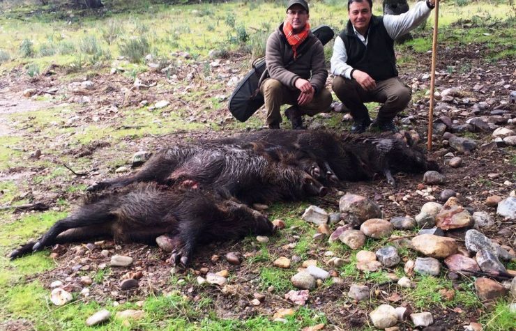 Montería en Alpotrequillo-La Portilla