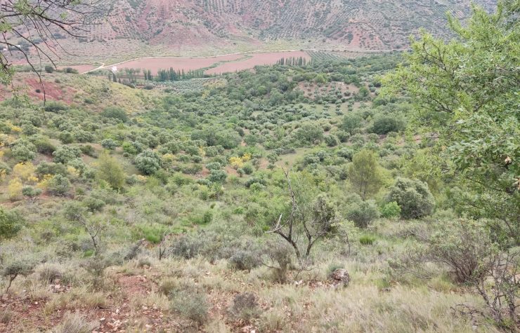 Montería en El Chaparral