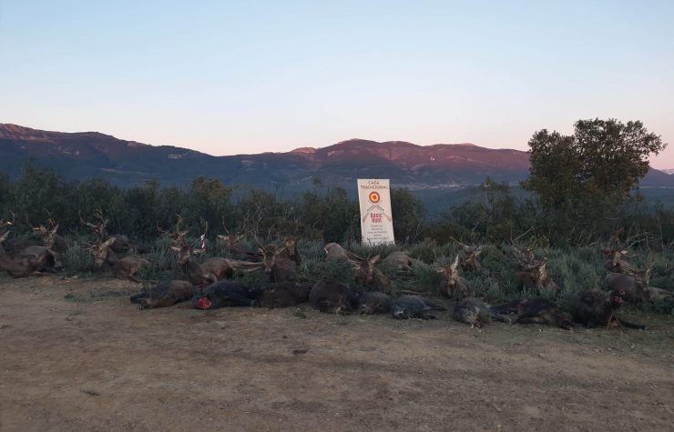 Montería en El Puente