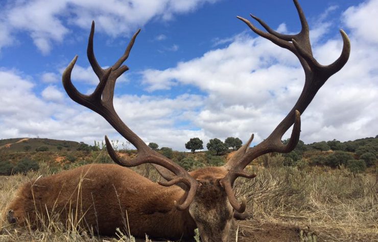 Montería en La Sierrecilla