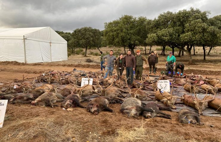 Montería en Rosalejo