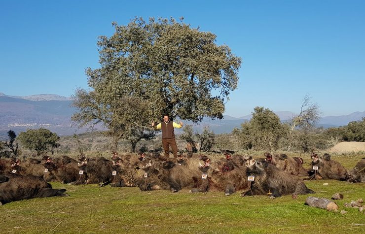 Montería en Arenal de Arriba II