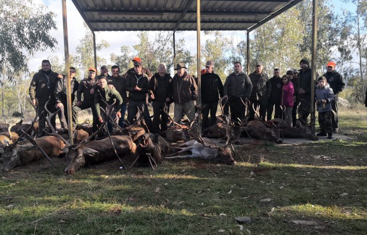 Montería en Las Verillas