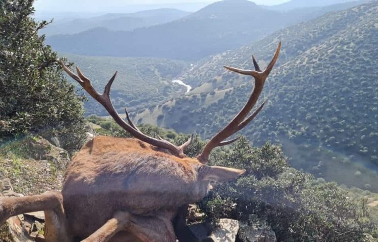 Montería en La Umbría