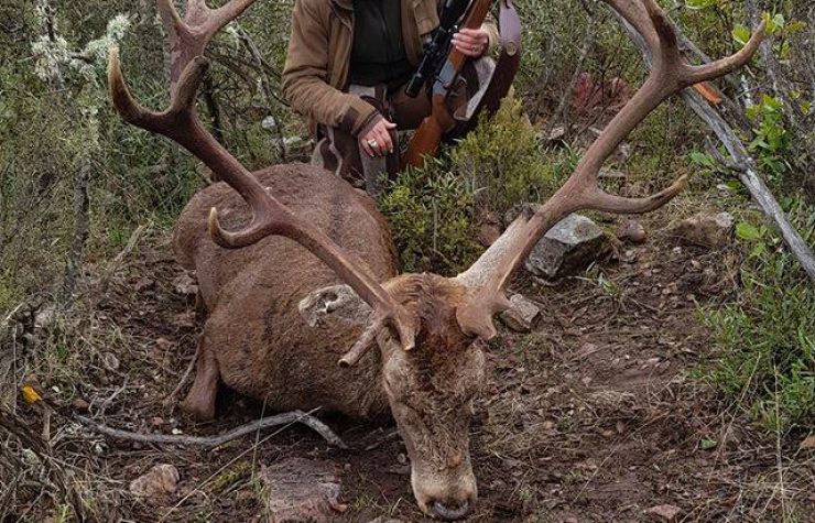 Montería en Las Lomas