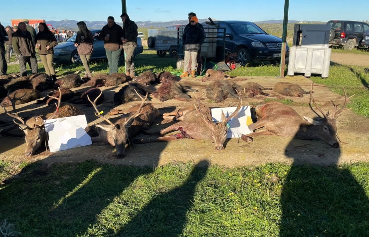 Montería en las Gagas