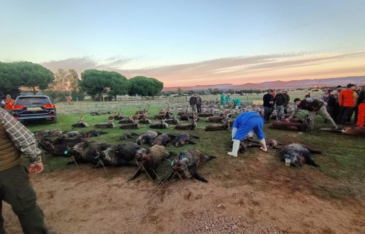 Montería en Valdeloshitos