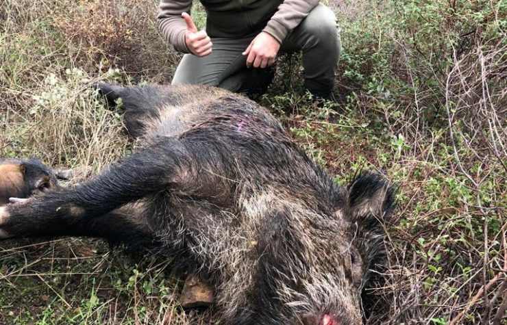 Montería en El Membrillo.