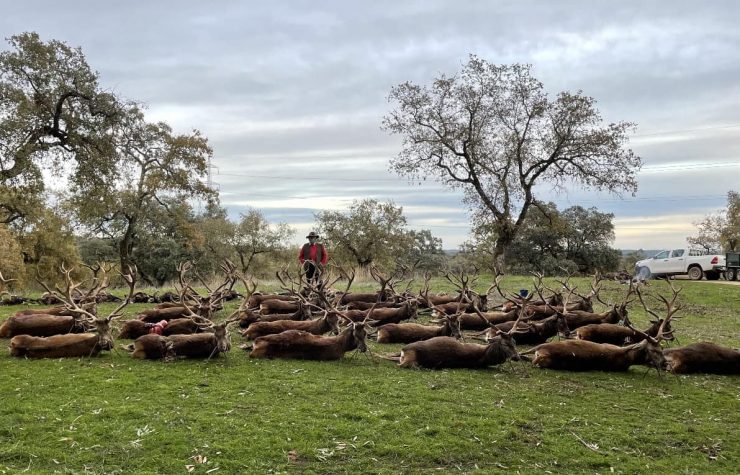 Montería en La Parrilla