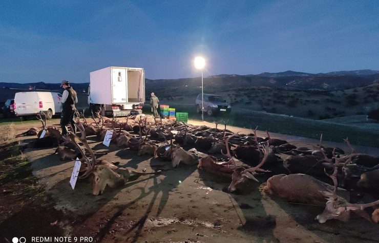 Montería en Barranco Hondo