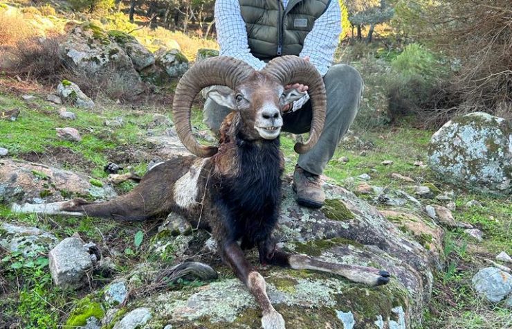 Montería en Valquemado