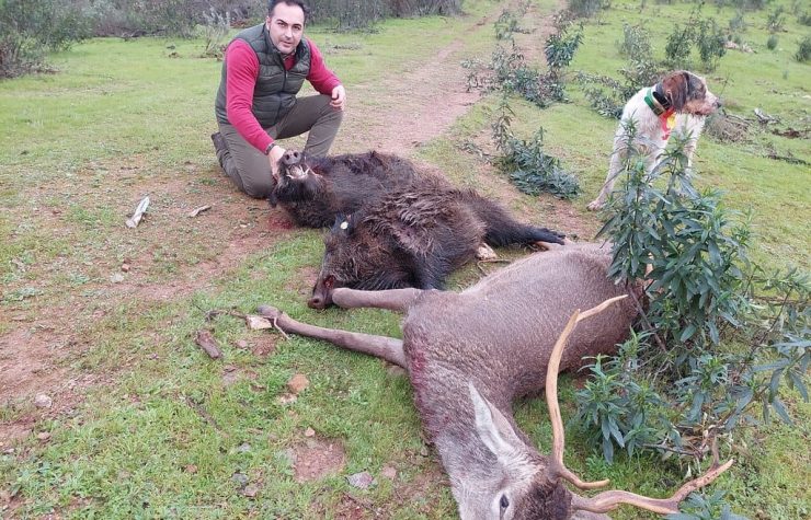 Montería en Puntería