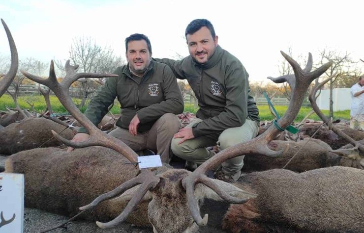 Montería en Los Cerros De La Casa