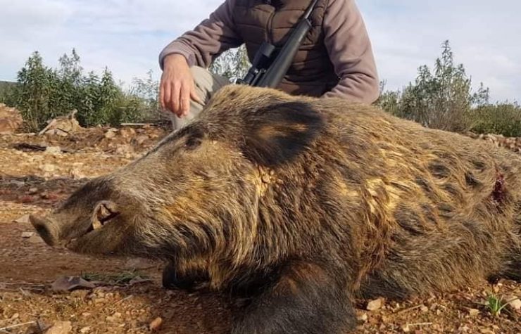 Montería en Las Morachas