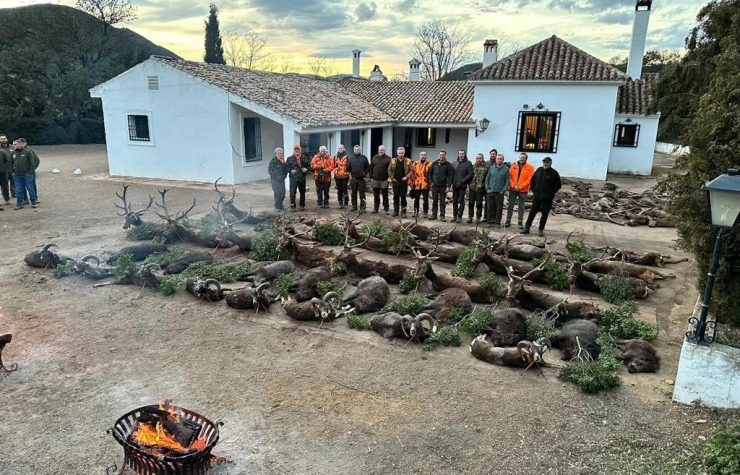 Montería en el Cucharero