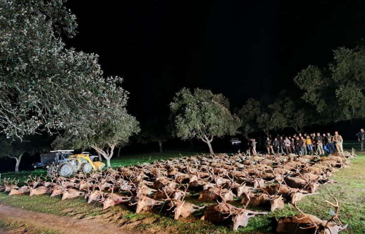 Montería en Casas Rubias