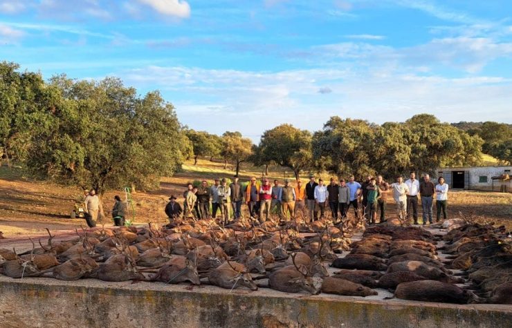 Montería en Las Minillas