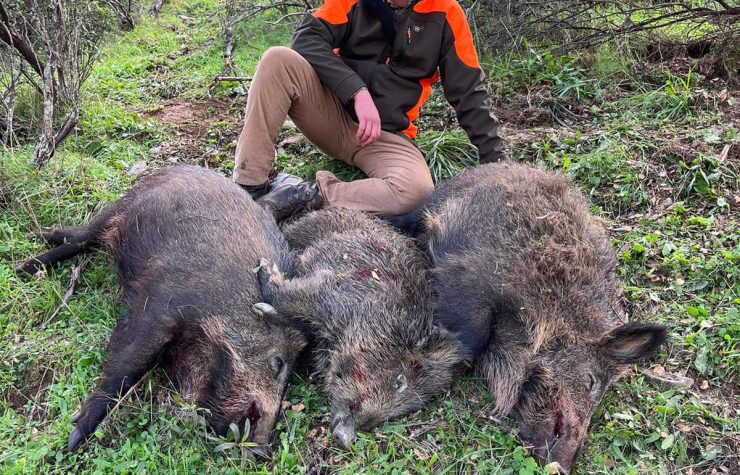 Montería en Dehesa de Estorganos