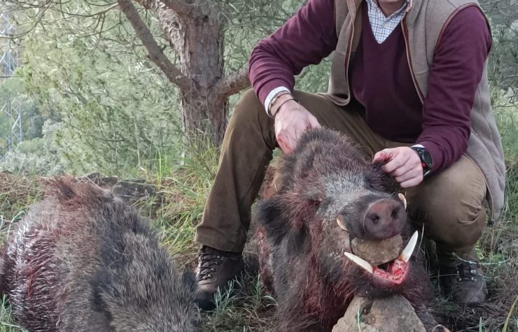 Montería en La Calera