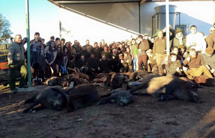 Montería en Morroquí