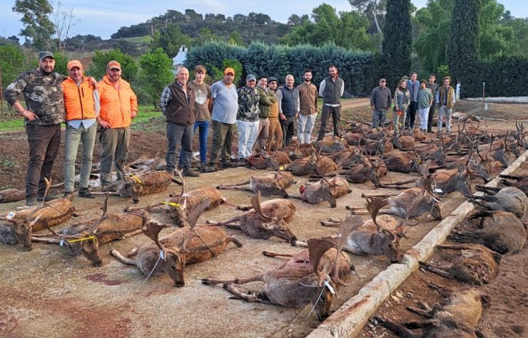 Montería en La Valverda