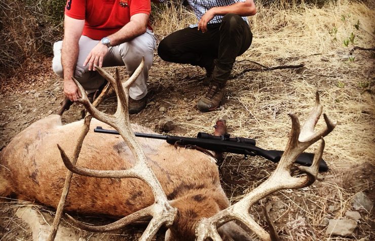 Montería en el Cortijo